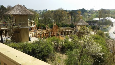 ElectriciteTertiaire_ZOO-DE-BEAUVAL_EXTENSION-ZOO-DE-BEAUVAL:-ZONE-AFRICAINE